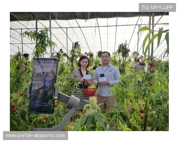 农村地区5G网络覆盖提升，拓展赛事直播下沉市场